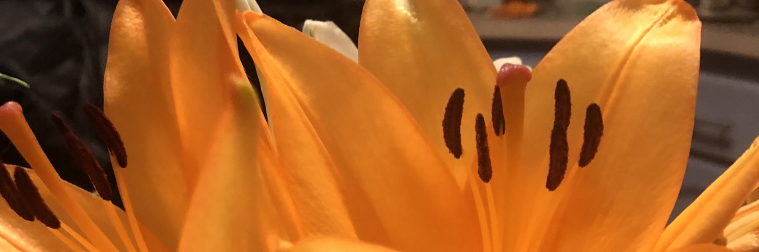 Jolei's profile banner image