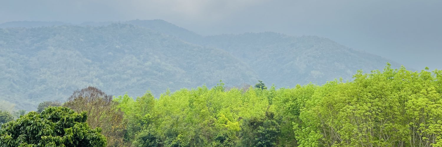 p! banner