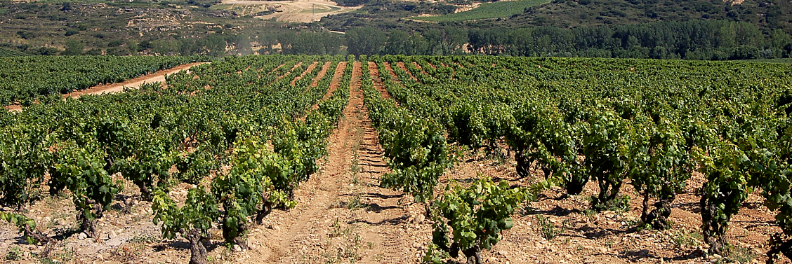 EFE_Rioja's profile banner image