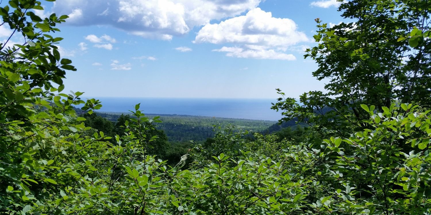 ISF_Minnesota banner