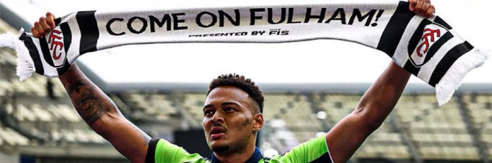 Ryan banner