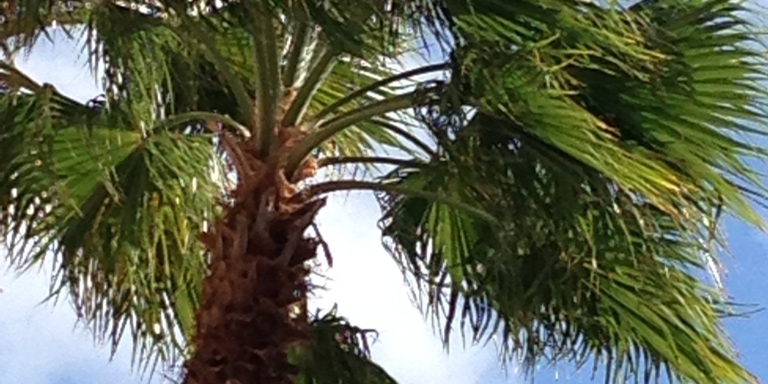 Christine Hernon banner