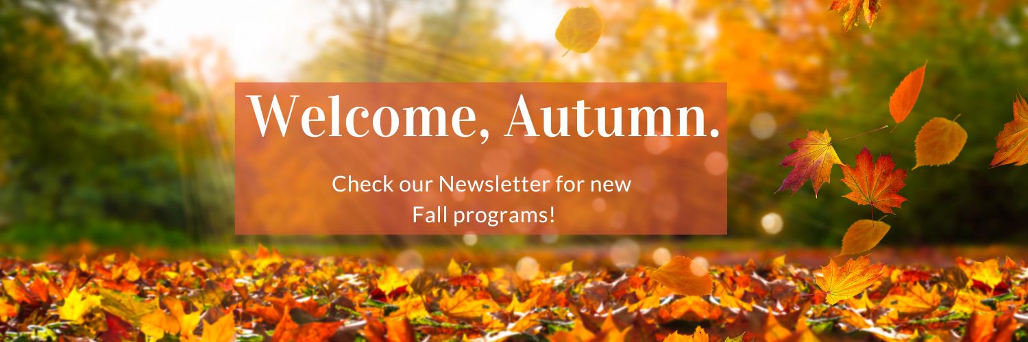 Plainview-Old Bethpage Public Library banner