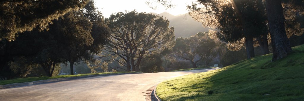 ForestLawn's profile banner image