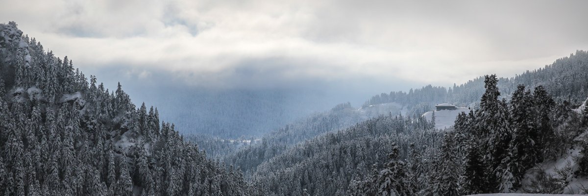 apostolis_ap's profile banner image