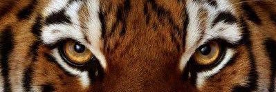 EnzinhoCV's profile banner image