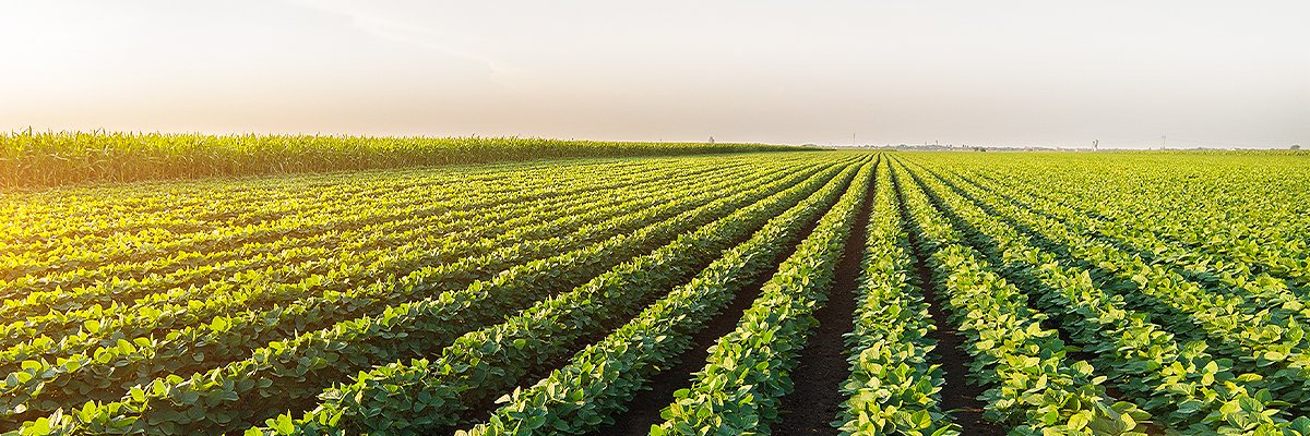 Topcon Agriculture banner