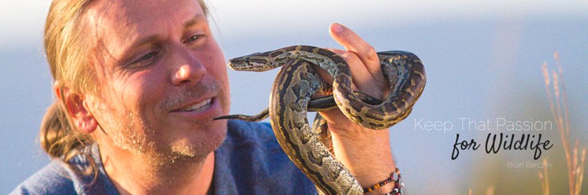 Brian Barczyk 🐍 banner