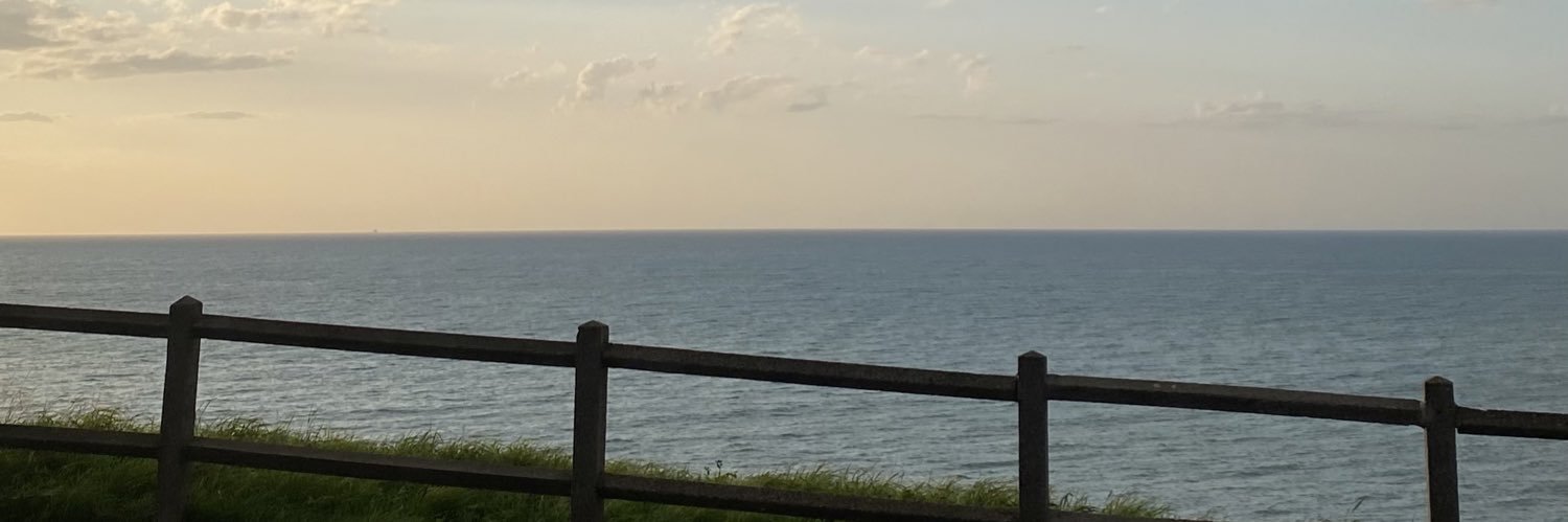 mugiines's profile banner image