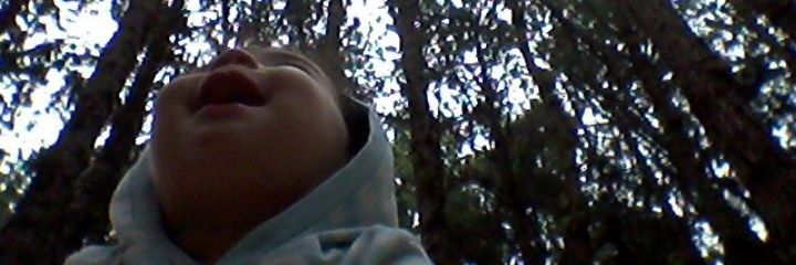 PAOLINIPAO's profile banner image