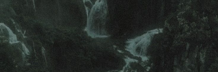 laura 🍃 banner