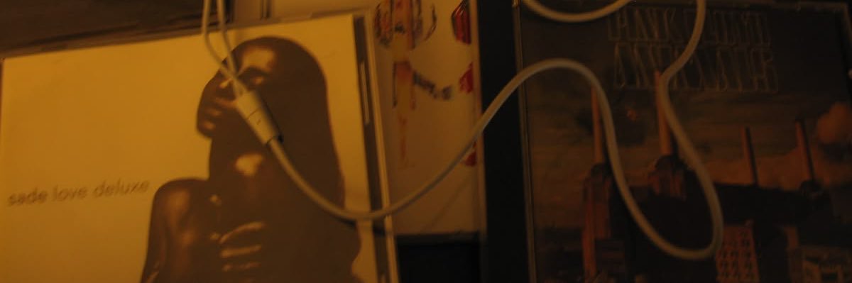 lilcatbee's profile banner image