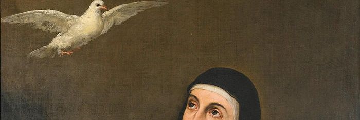 🦆 Tyler 🇻🇦 Thamster 🥋 🦜's banner