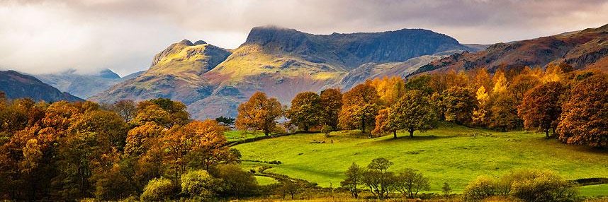 WoodsideCottage's profile banner image