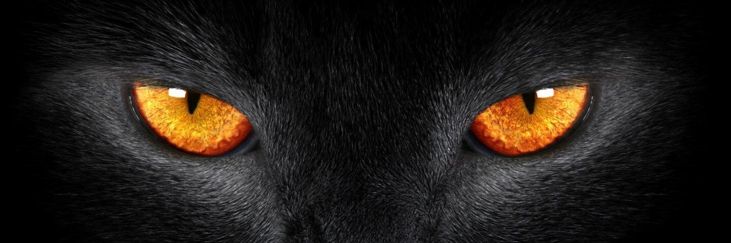 rak2401's profile banner image