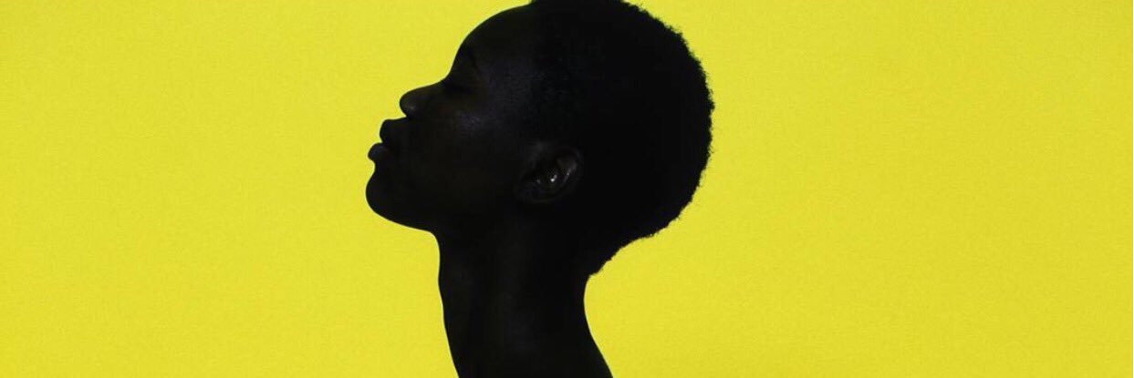 shexdanni's profile banner image