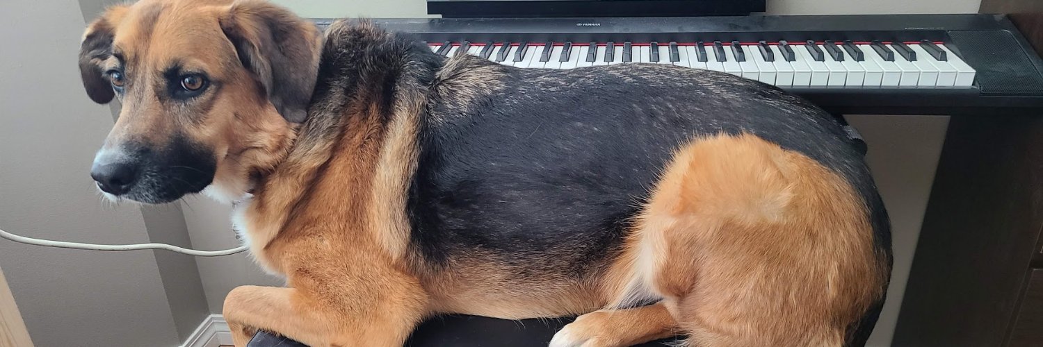 itsdalent's profile banner image