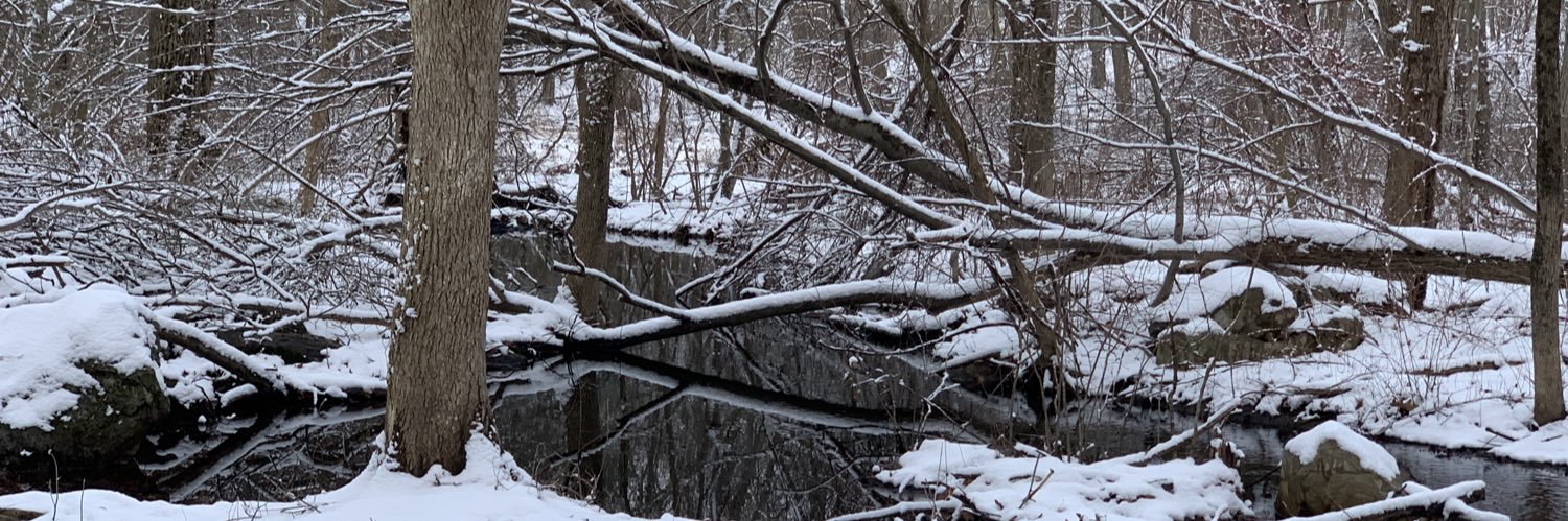 Michelle Apuzzio banner