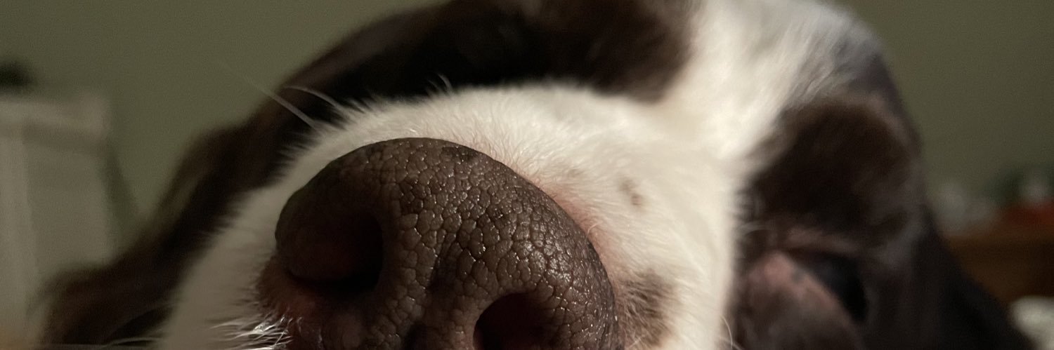 CacaBear38's profile banner image