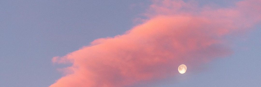 KHILAKY 🧛🏳️‍🌈🏳️‍⚧️ banner