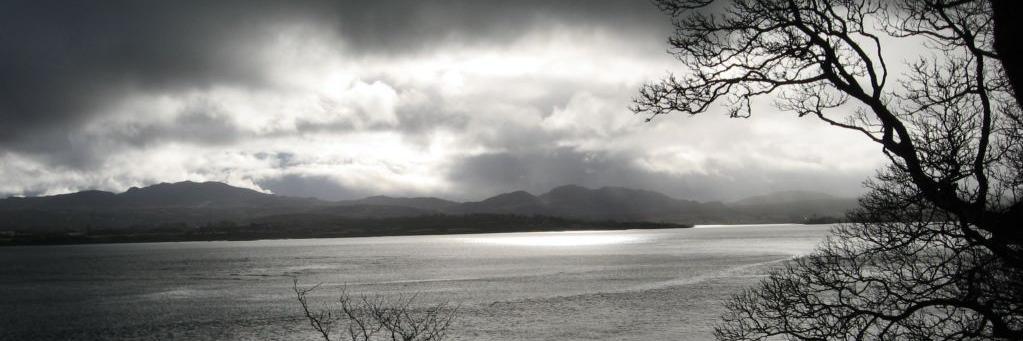 witoldgraca's profile banner image