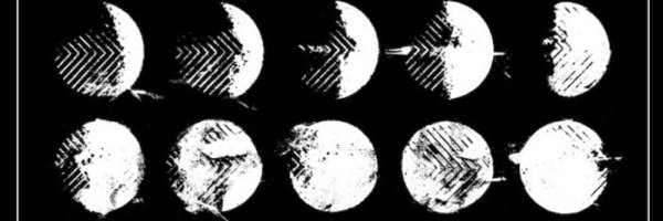 pwingie Profile Banner