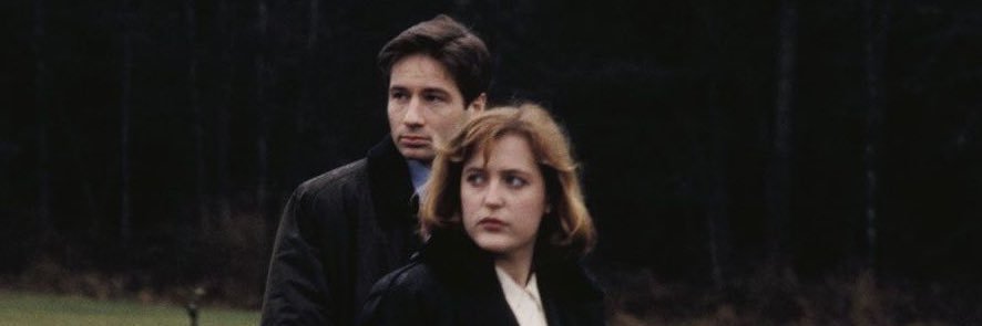 scullythings's profile banner image