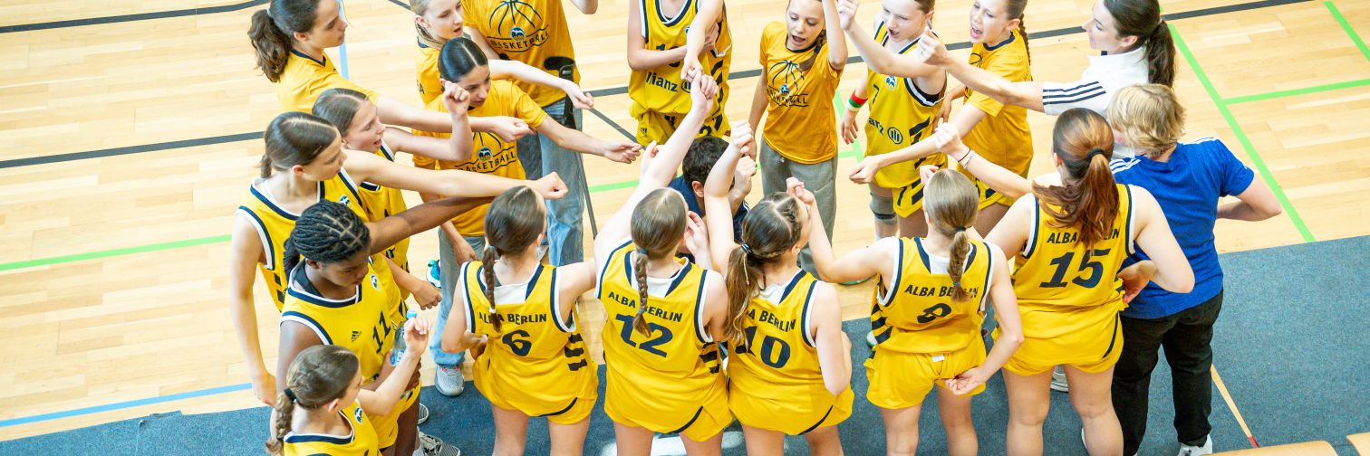 Antonio Cañamero Hormiga banner