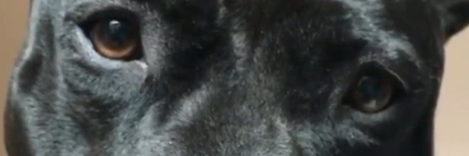 getbongani's profile banner image