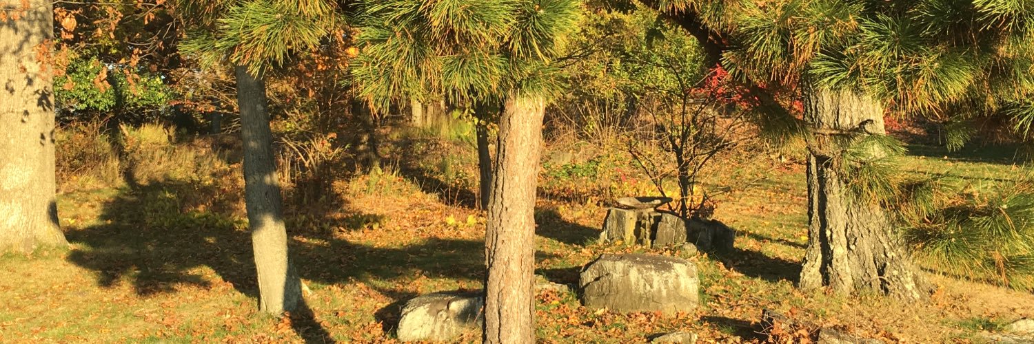 dashak135's profile banner image