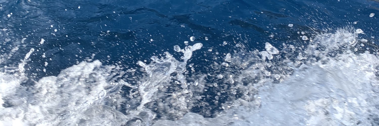 alicejuniper's profile banner image