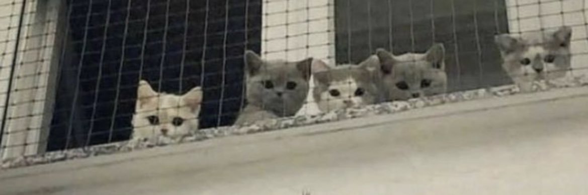 Kat • SAW SKZ 6/26 • SEEING ATEEZ banner