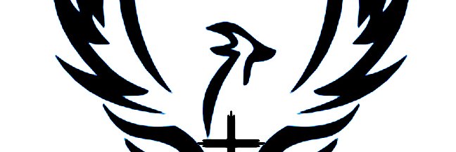 Phoenix Preacher banner