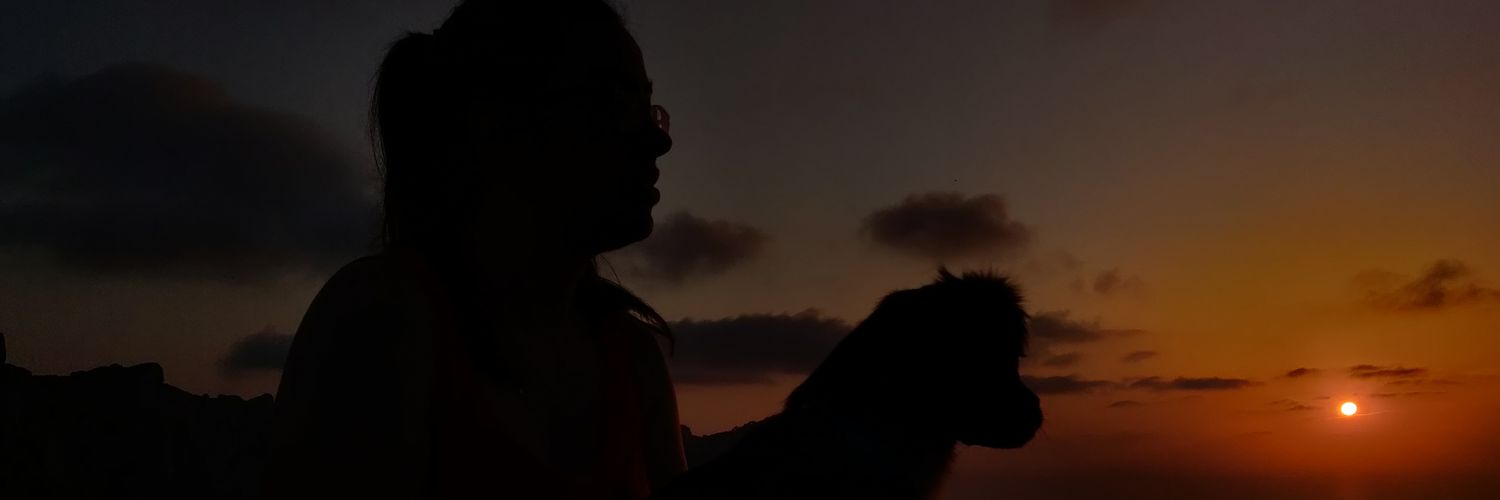 Andreamll13's profile banner image