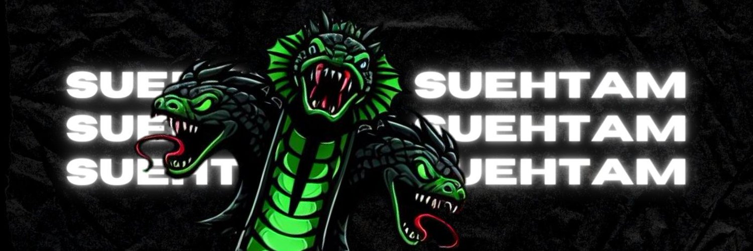 Suehtam Memes Profile Banner