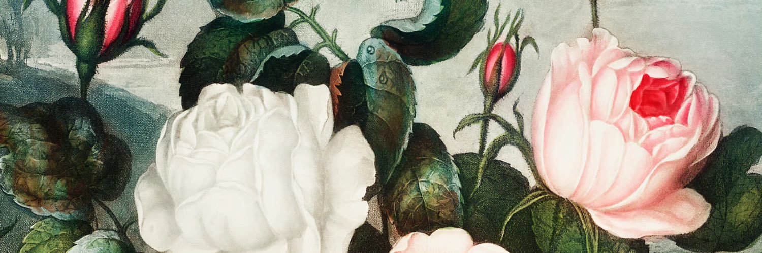 596zlquinmk's profile banner image
