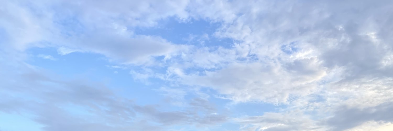 holygrams's profile banner image