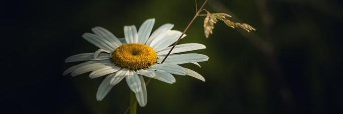 trduy's profile banner image