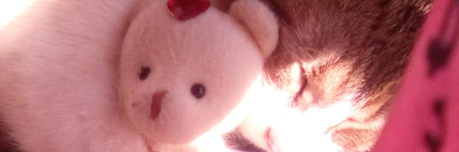 sat1rowan_808's profile banner image