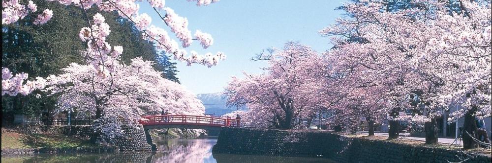 ayatori's profile banner image