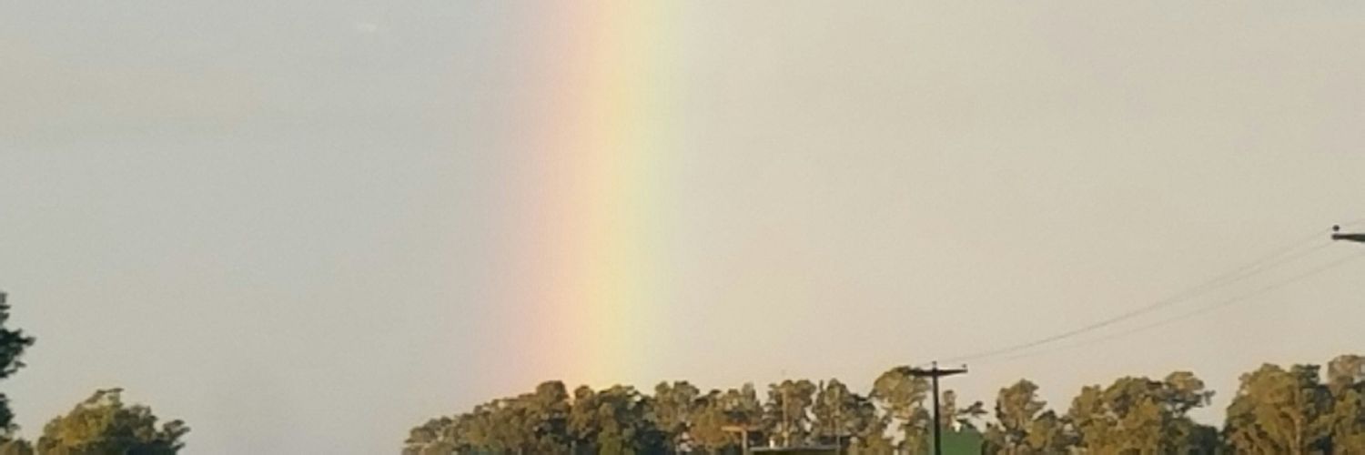 soleruvira's profile banner image