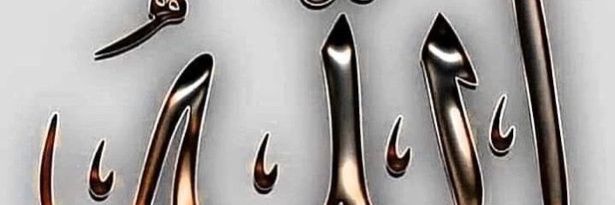 zzigido's profile banner image