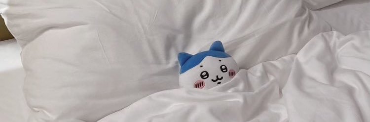 Fwaychinchin's profile banner image