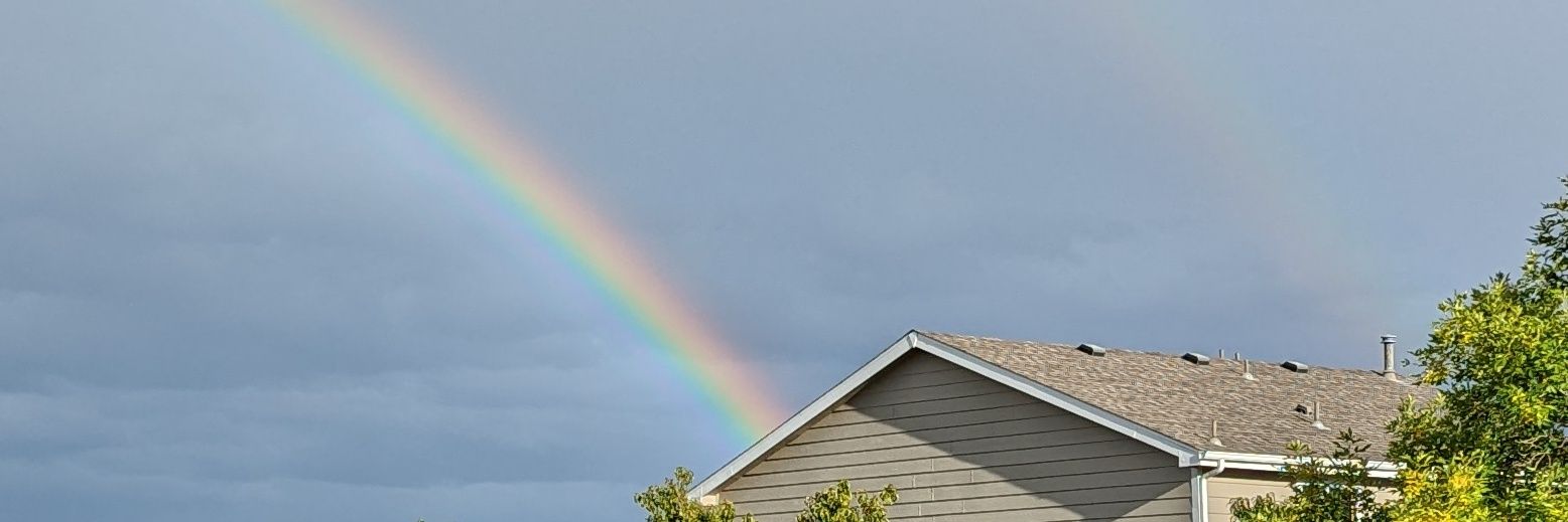 JenniGrubbs's profile banner image