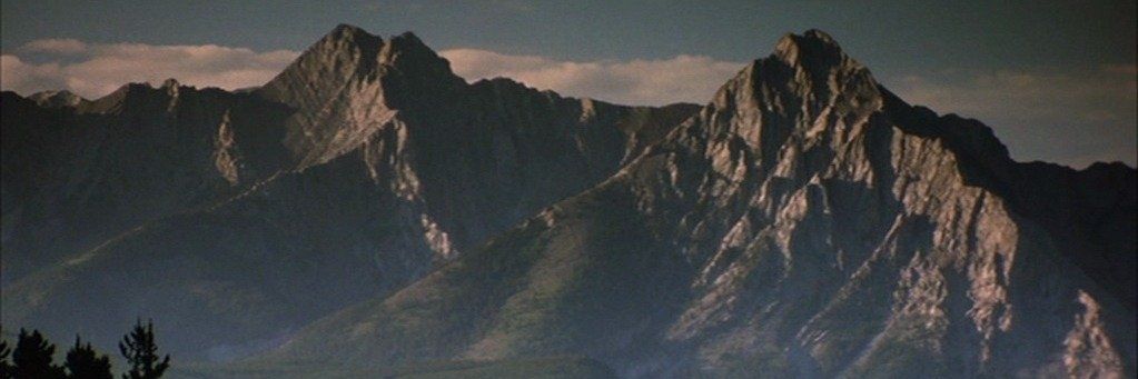 diegodtamayo's profile banner image