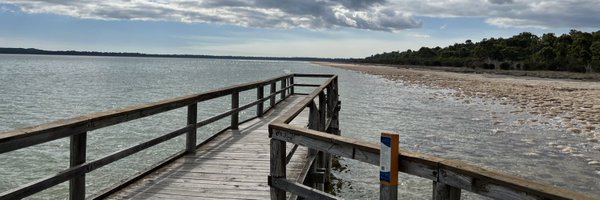 kalgrl Profile Banner