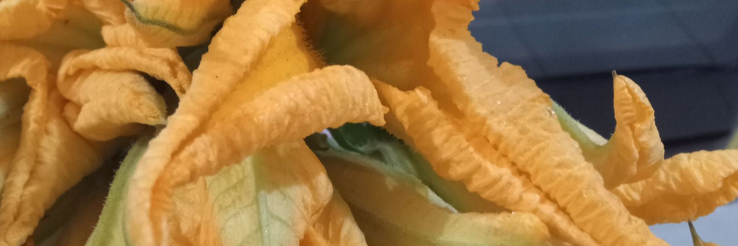 Wendy... banner