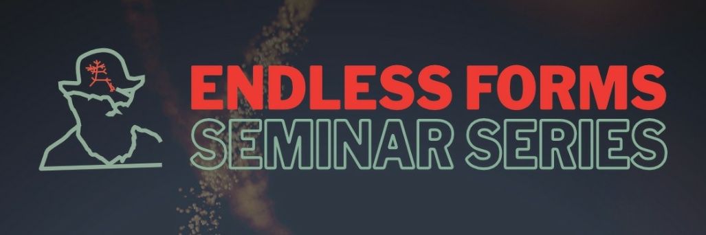 Cambridge Uni Biological Anthropology Society banner