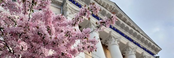 AnnOsypchuk Profile Banner