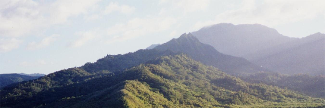 Micky Maus banner